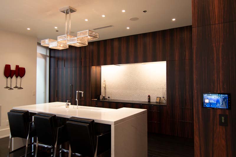 N Midtown Penthouse (4)